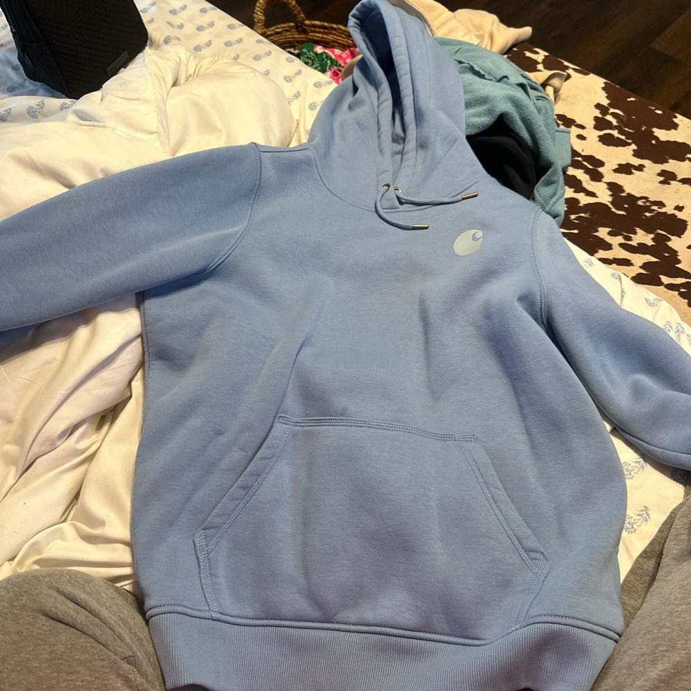 Brand new carharrt hoodie, never worn